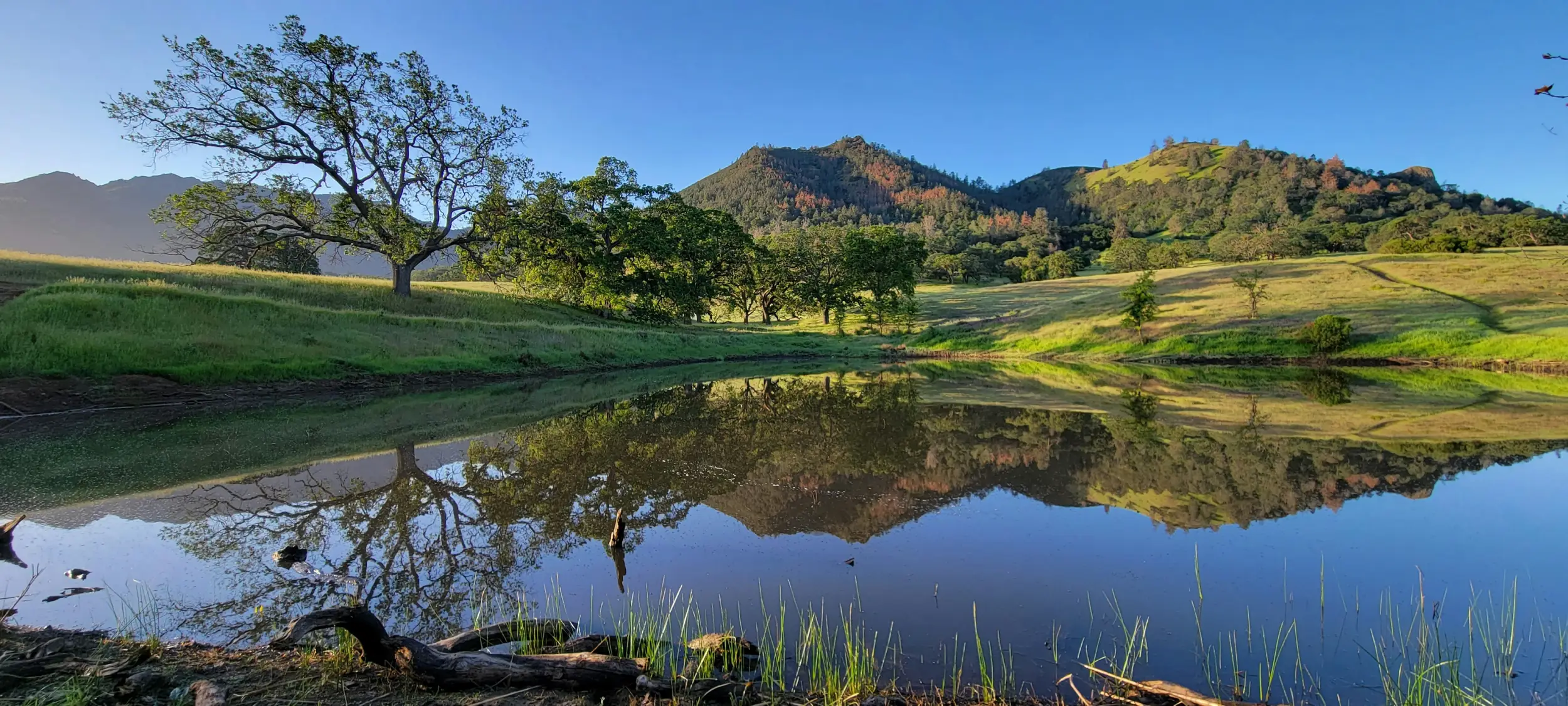 Antioch, CA Waterfront Homes for Sale